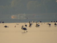 Parco di San Giuliano